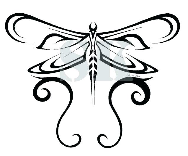 637x527 Dragonfly Drawings Designs Dragonfly Tattoo Design Architecture