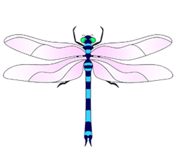 250x226 Dragonfly Drawings