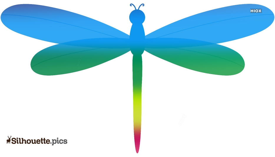 934x534 Dragonfly Sketches Silhouette Vector, Clipart Images, Pictures