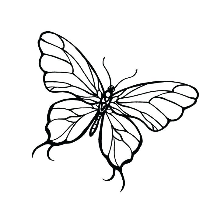 736x738 How To Draw Butterflies Flying How To Draw A Butterfly Flying