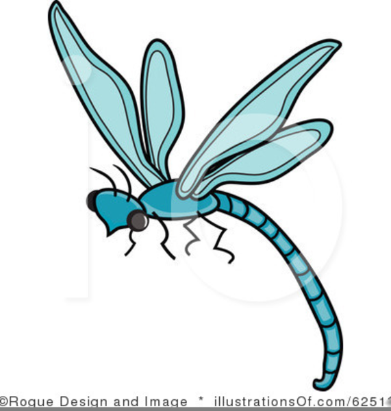 571x600 Dragonflies Drawings Clipart Free Free Images