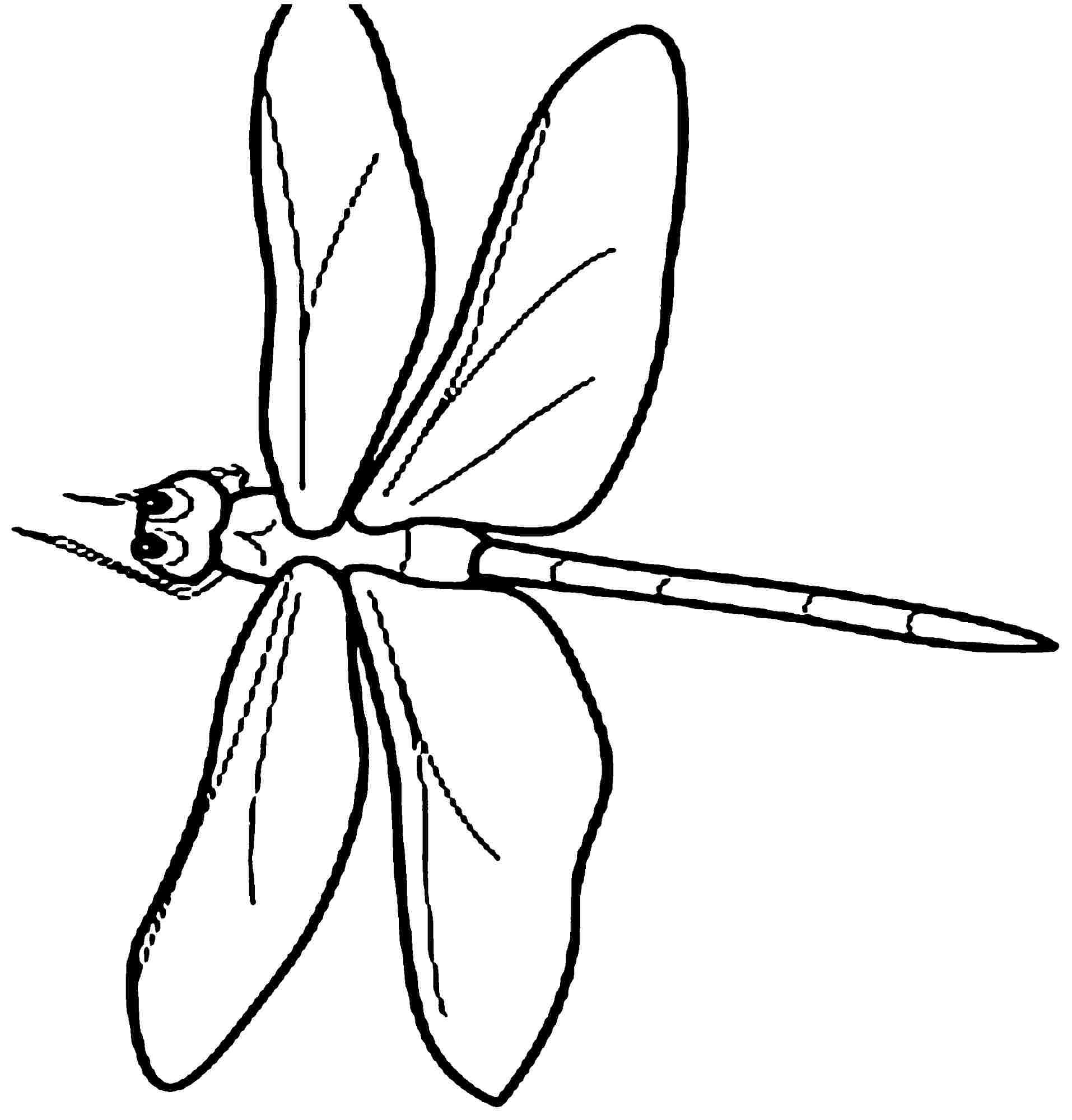 Dragonfly Line Drawing | Free download on ClipArtMag
