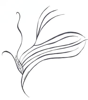 375x425 Dragonfly Drawing