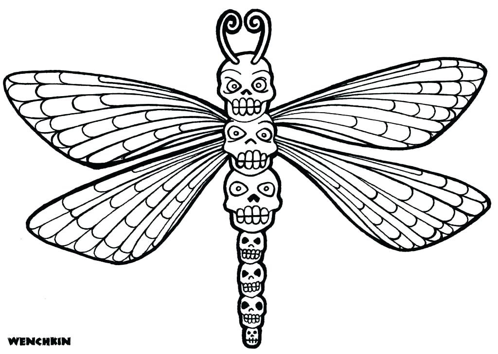 1024x729 Dragonfly Drawings Drawing Template Click The Image To Enlarge