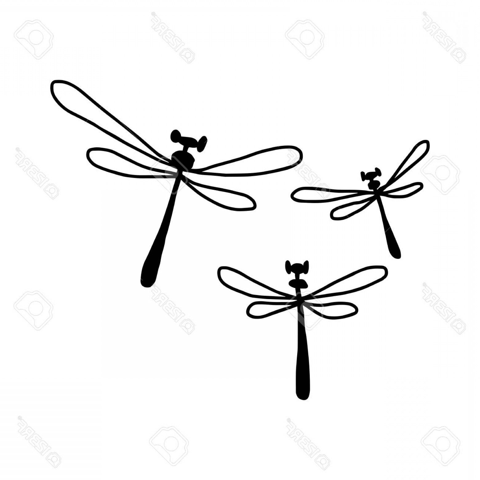 1560x1560 Dragonfly Vector Art Shopatcloth