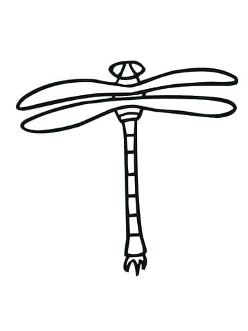 360x480 Simple Dragonfly Drawing