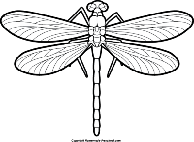 400x294 Collection Of Free Dragonfly Drawing Unique Download On Ui Ex