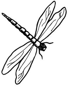 236x305 Dragonfly Stencils Dragonfly Drawing, String Art Patterns
