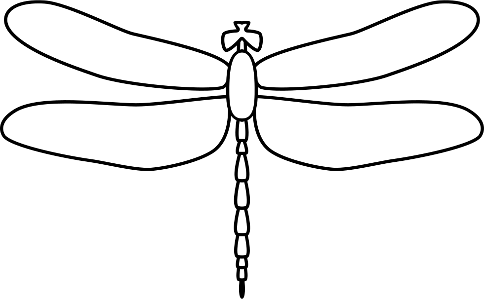 980x606 Habitat Drawing Dragonfly Transparent Png Clipart Free Download