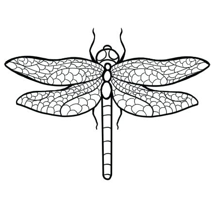 Dragonfly Outline Drawing | Free download on ClipArtMag