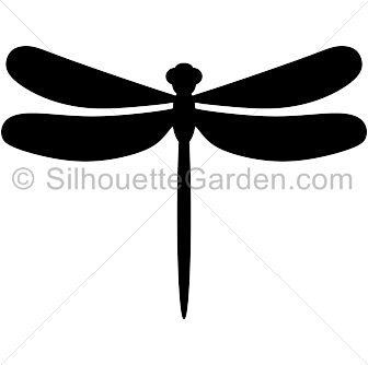 336x334 Vector Dragonfly Free Download On Unixtitan