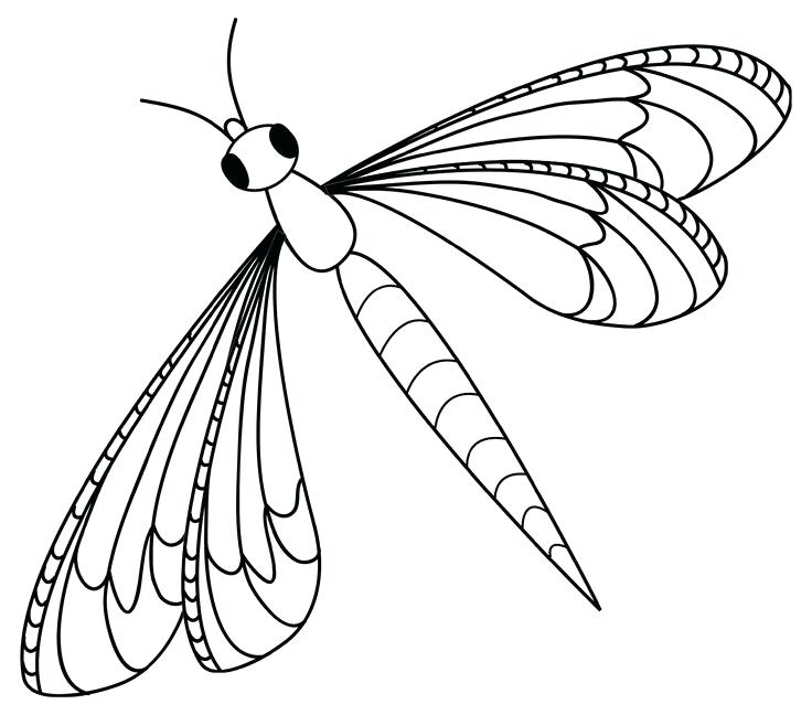 736x648 Dragonfly Clipart Chromano