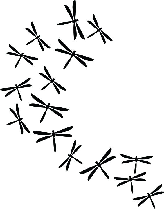 565x720 Dragonfly Drawing Template