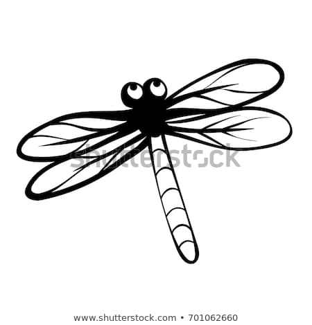 450x470 Huge Collection Of 'dragonfly Outline Drawing' Download More Than