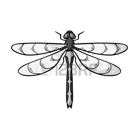 450x450 Drawn Dragonfly Odonata