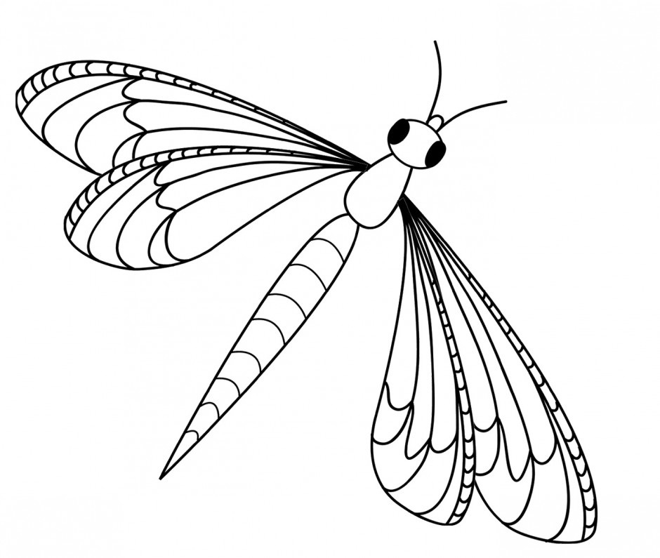 940x795 Dragonfly Drawing Animated For Free Download