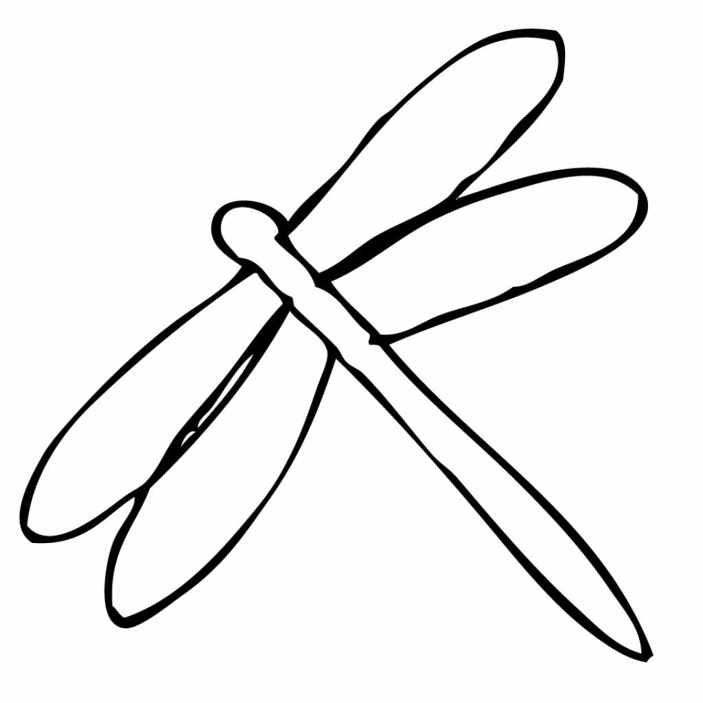 1024x1024 Dragonfly Drawing Free Download