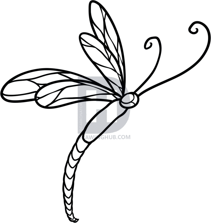 680x720 How To Draw A Dragonfly Tattoo, Step