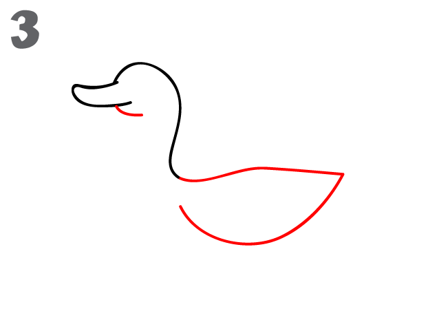 622x484 How To Draw A Duck