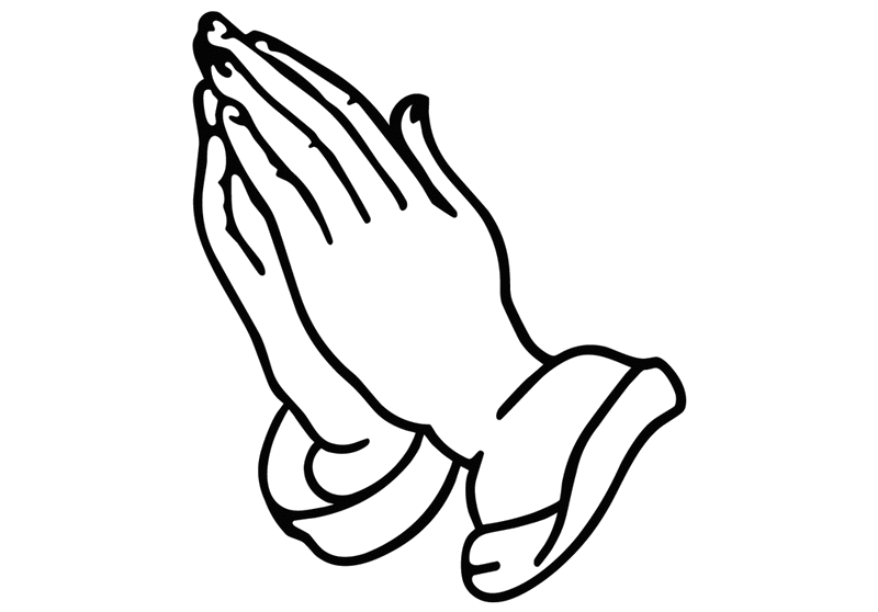 800x558 Collection Of Free Drake Drawing Outline Download On Ui Ex