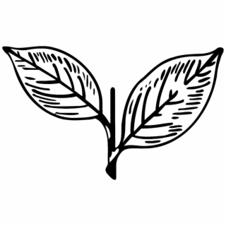 320x320 hd cropped all india engineering amir alex aie all india