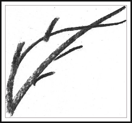 436x405 Drawing Linear Animals Junior Architecture