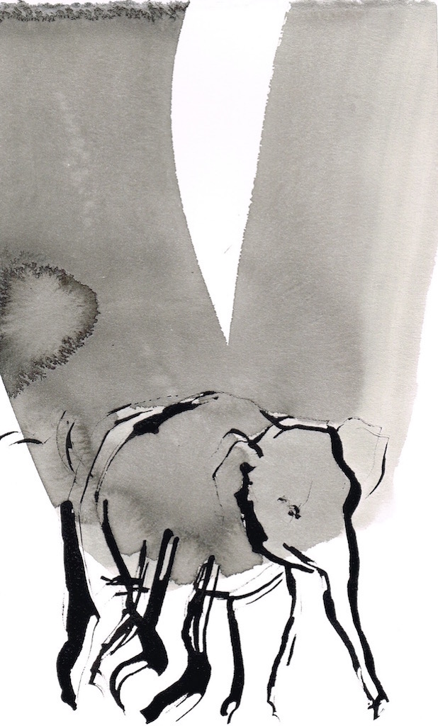 618x1024 Richard Tosczak