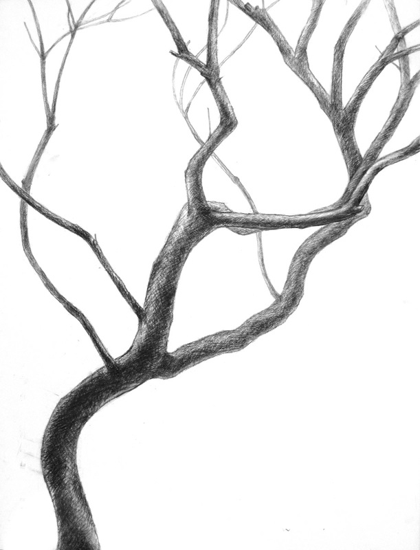 611x800 Structural Drawing