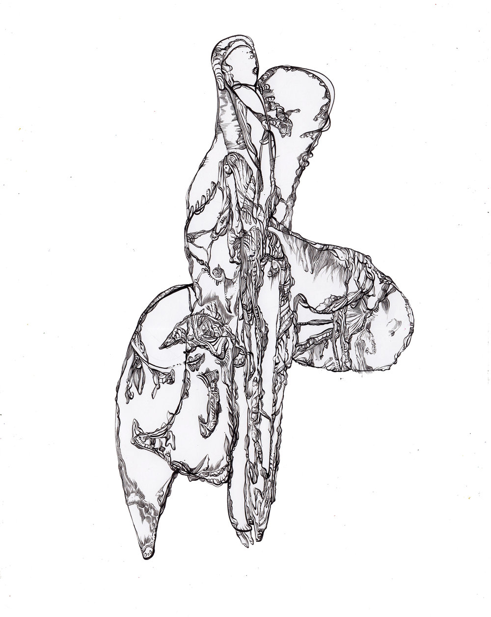 1000x1255 Dave Mutnjakovic