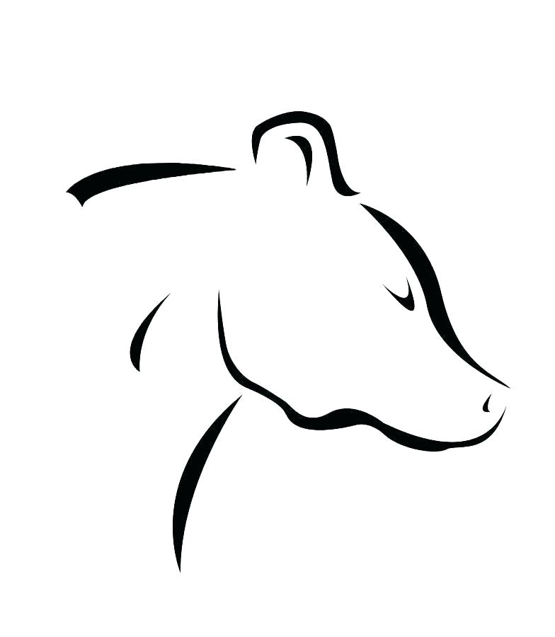 784x900 Simple Bear Drawing