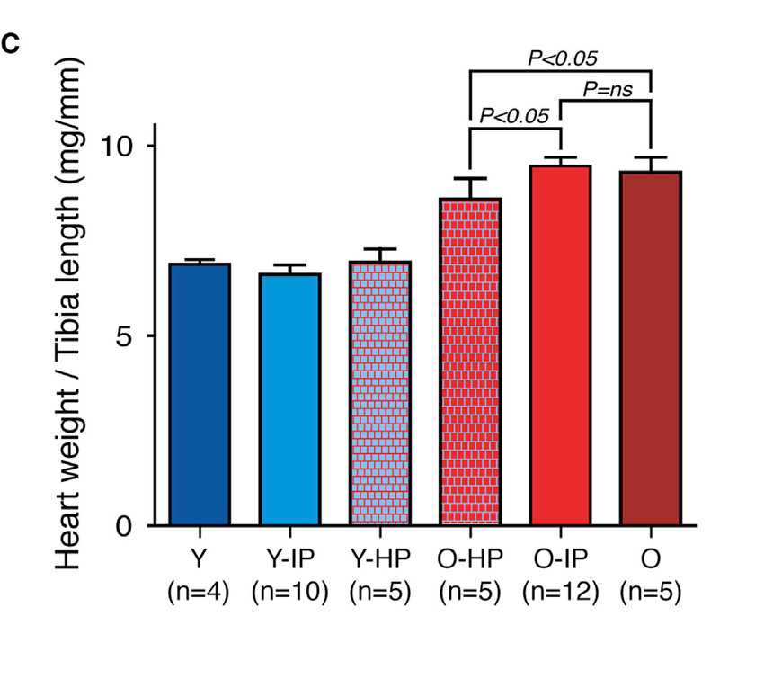 how-to-denote-significant-differences-in-tables-and-graphs-researchgate