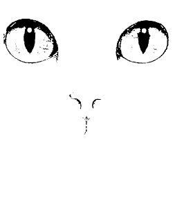 250x300 Halloween Cat Face Costume