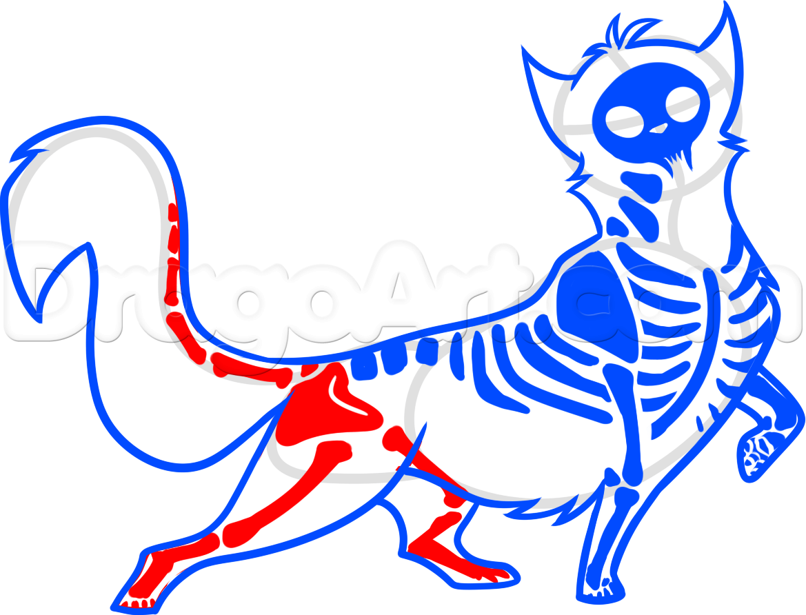 1169x892 Step How To Draw A Halloween Cat