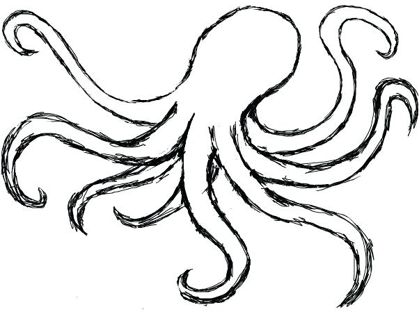 602x452 How To Draw Octopus Draw Octopus Head
