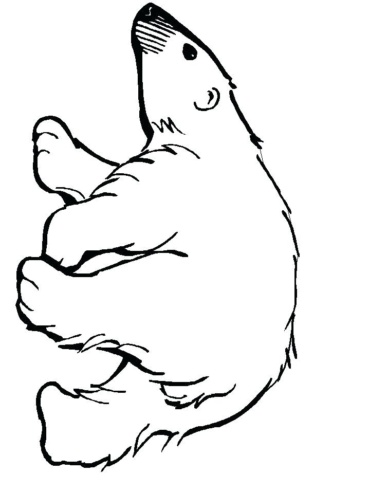 718x957 Polar Bear Template For Preschool Little Coloring Pages Printable