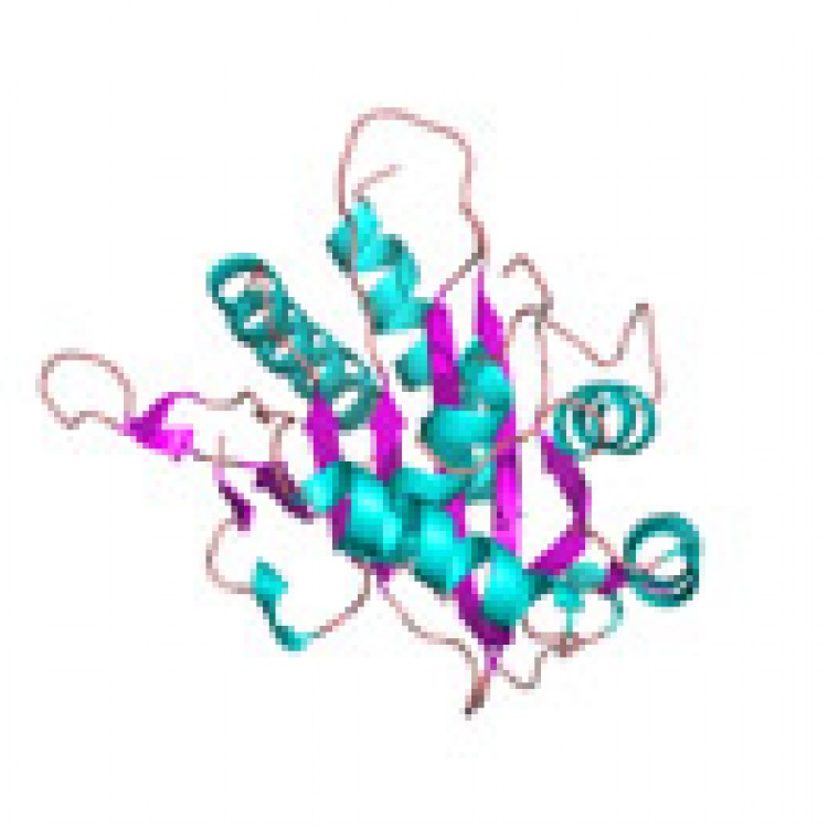 750x750 A Drug Against Aids Could Be Effective Against The Herpesvirus