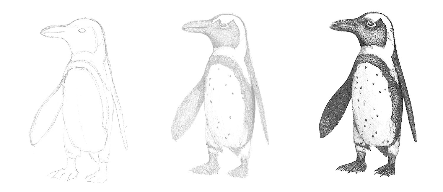 1500x650 Drawing Sketching