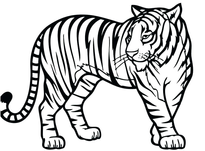 827x609 African Animals Coloring Pages Free Animal Coloring Pages Animals