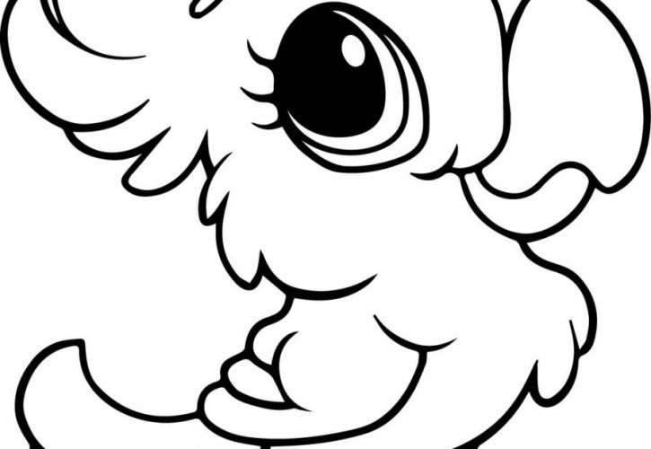 725x500 Zoo Animals Coloring Book With For Preschool Pdf Also Animal