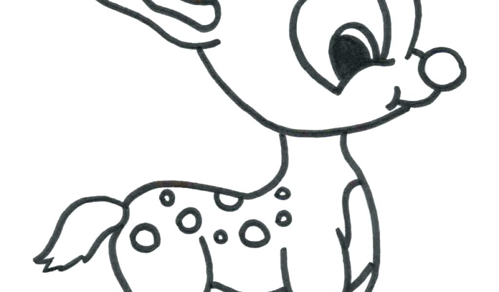 1024x600 Baby Animal Coloring Pages To Print