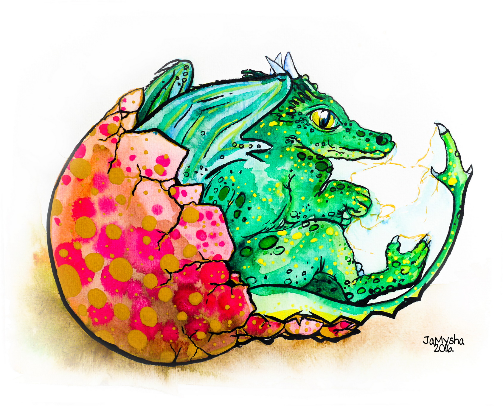 1688x1364 Jamysha's Lab