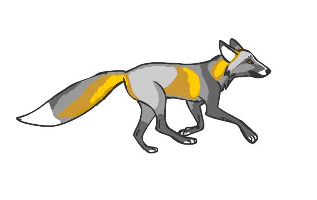 640x404 Animation Video Sticker Gif Find, Make Share Gfycat Gifs