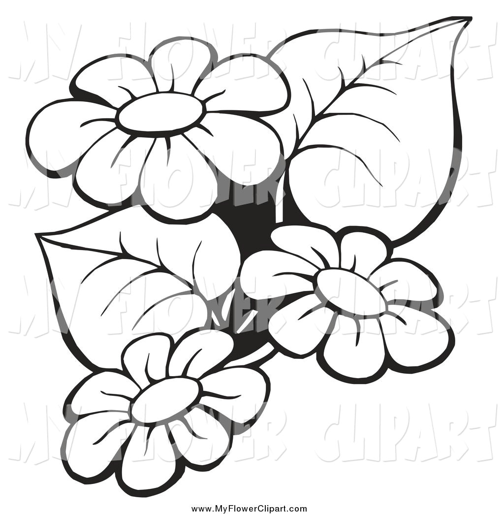 1024x1044 Drawing Flowers Border Flowers Clip Art Border Black