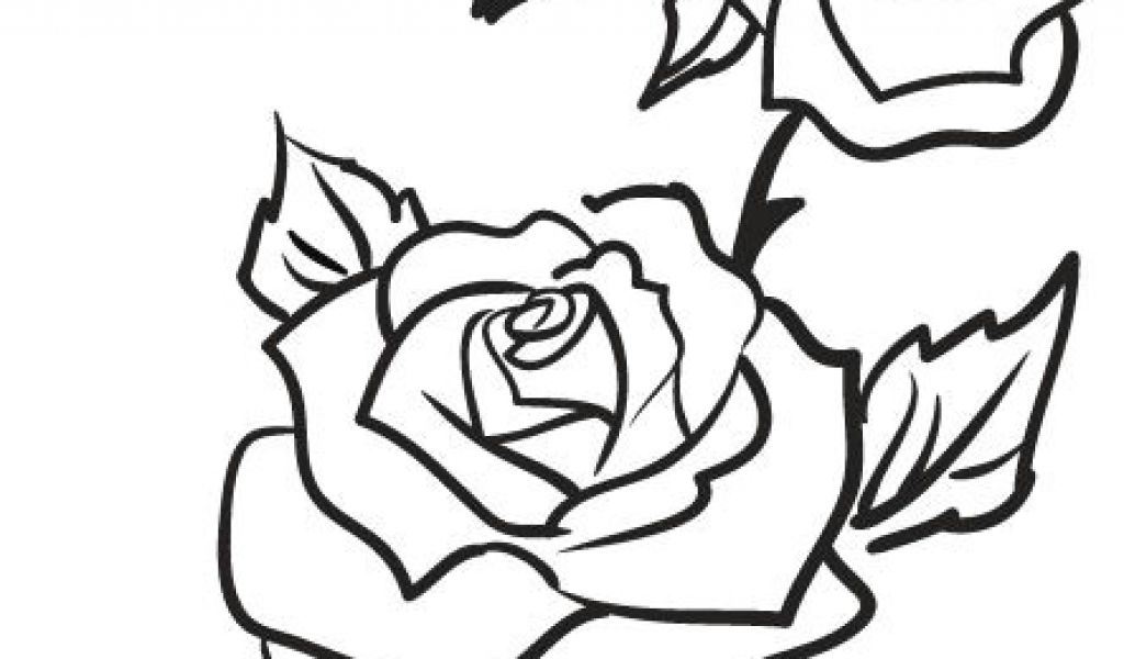 1024x600 Drawings Of Roses Clipart Rose Outline Google Search Outlines