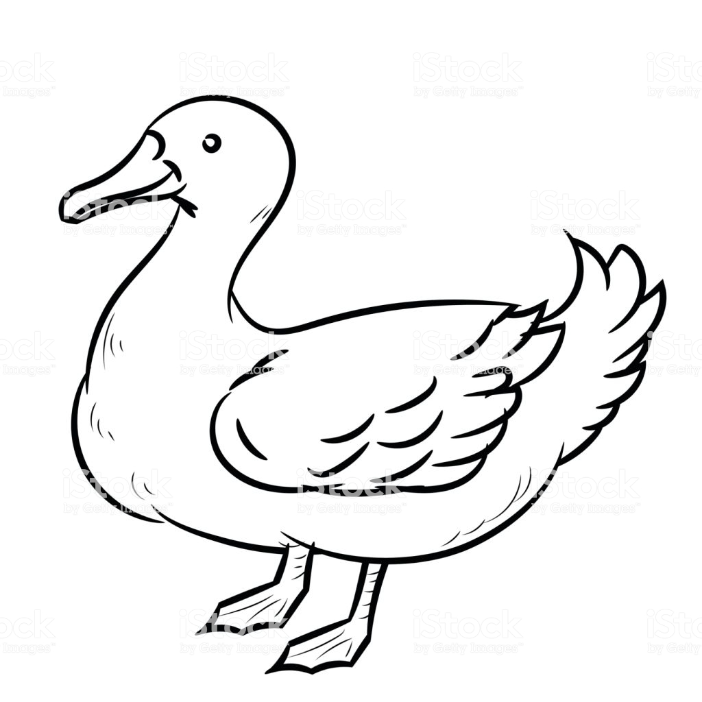 1024x1024 Reduced Drawing Of A Duck Line Simple Vector Stock Art More