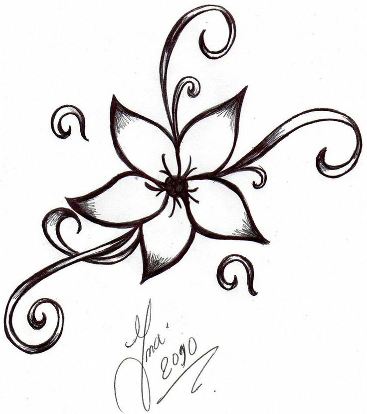 736x830 Simple Designs Of Flowers Pictures Cute Designs To Draw On Paper
