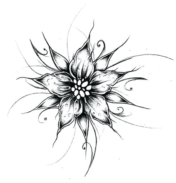 600x625 Cool Flower Designs Best Art Projects To Do For Art Images