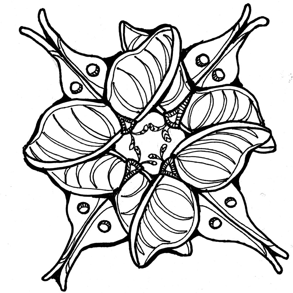 1000x1003 line drawings stephanie miller