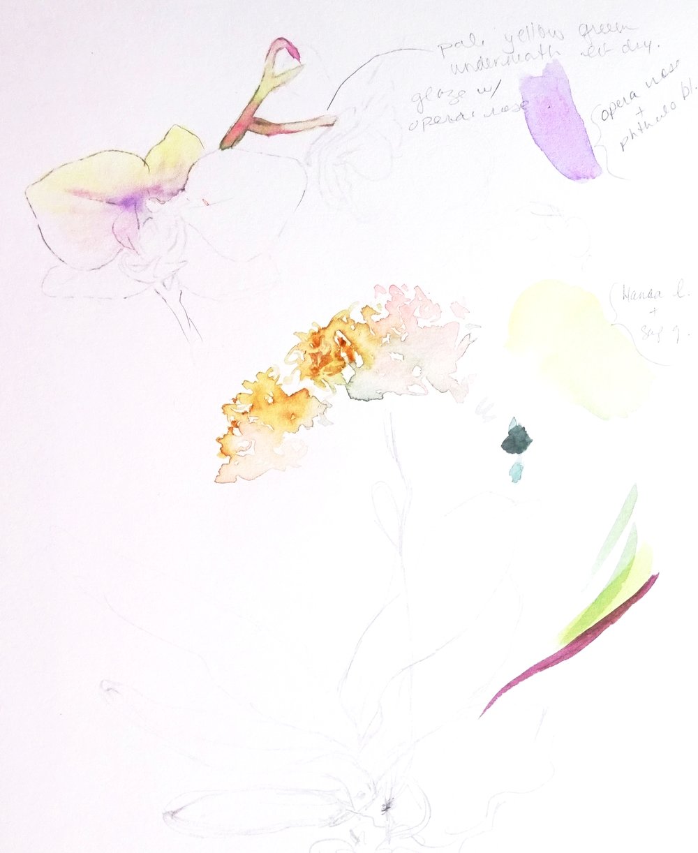 1000x1222 Return To Nature Crystal Beshara