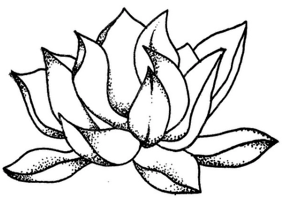 559x403 assignments pidp instructional strategies